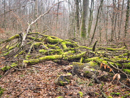 20220123160547-1cae3abe